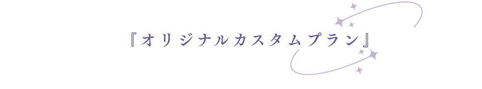 オリジナルカスタムプラン