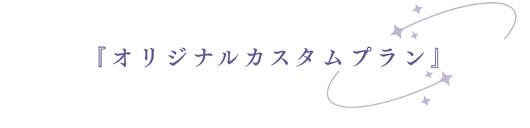 オリジナルカスタムプラン