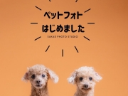 ペットフォトはじめました ペットフォトはじめました