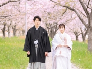 春の桜フォト好評受付中🌸 春の桜フォト好評受付中🌸